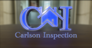 Carslon Inspection Animated Logo Screenshot